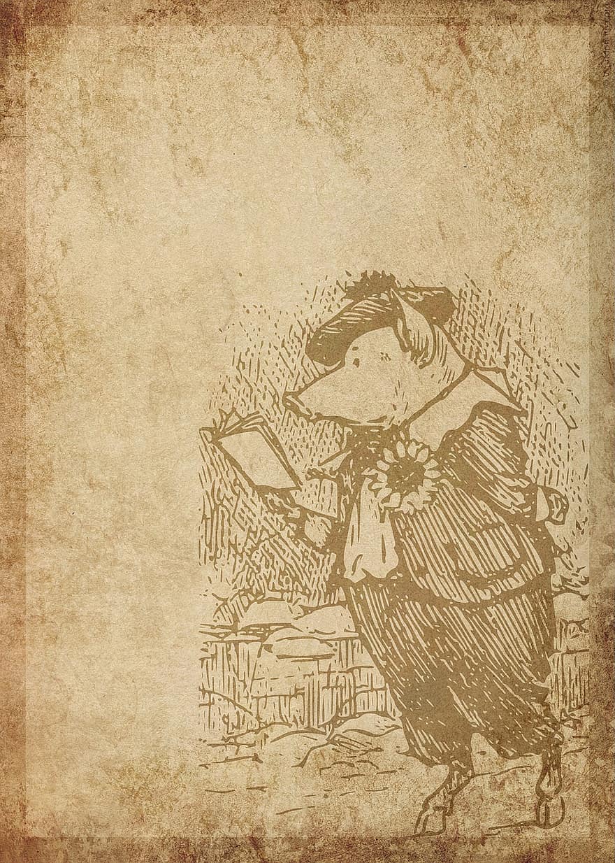 Vintage, Pig, Read, Book, Background, Funny, Education, Knowledge, Old, Animals-illustration, Drawing