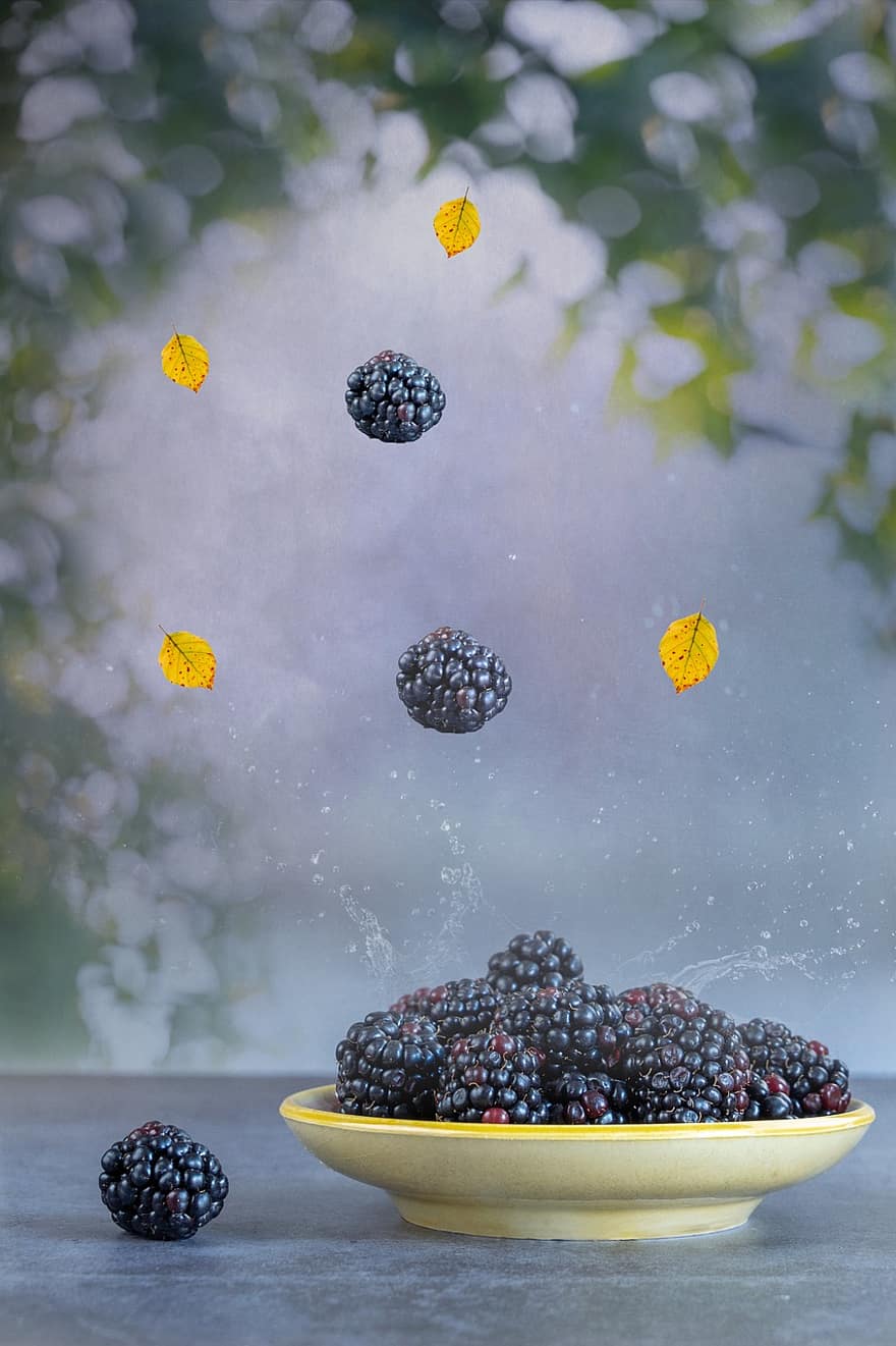 Blackberry, buah, buah jatuh, masih hidup, makanan, blueberry, merapatkan, latar belakang, kesegaran, buah berry, makan sehat
