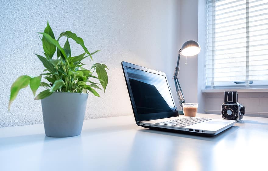 Laptop, Desk, Office, Computer, Camera, Plant, Light, Lamp, Workspace, Workplace, Coffee