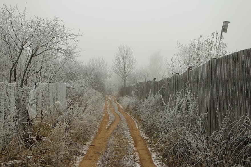 Thiên nhiên, mùa đông, Mùa, con đường, đường, ngoài trời, sương giá, tuyết, sương mù, làng, hàng rào