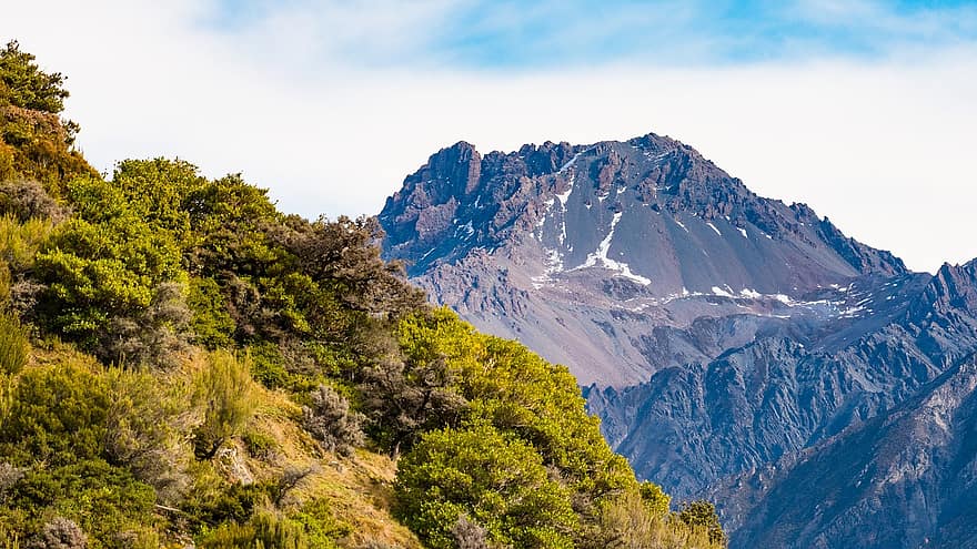 glacera de guineu, Nova Zelanda, glacera, muntanya, paisatge, naturalesa, cim de muntanya, bosc, neu, Serra, herba