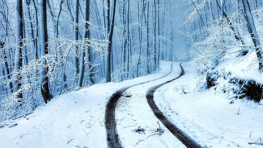 Road, Snow, Wallpaper, Christmas, Winter, Season, forest, tree, landscape, frost, blue