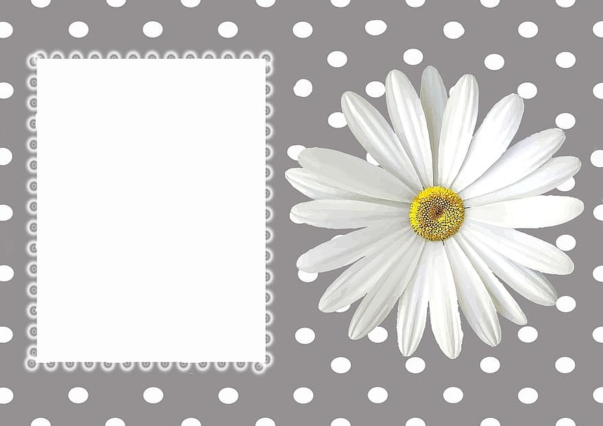 tarjeta de felicitación, cumpleaños, día de la Madre, día de San Valentín, mapa, Boda, flor, floración, margarita, flora, romance