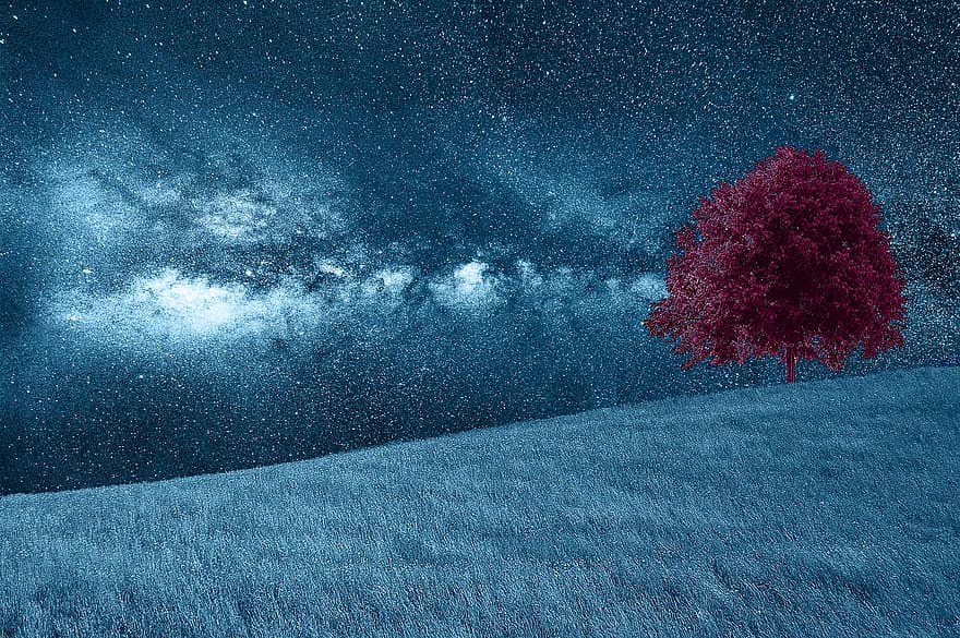 árvore, estrelas, prato, noite, universo, natureza