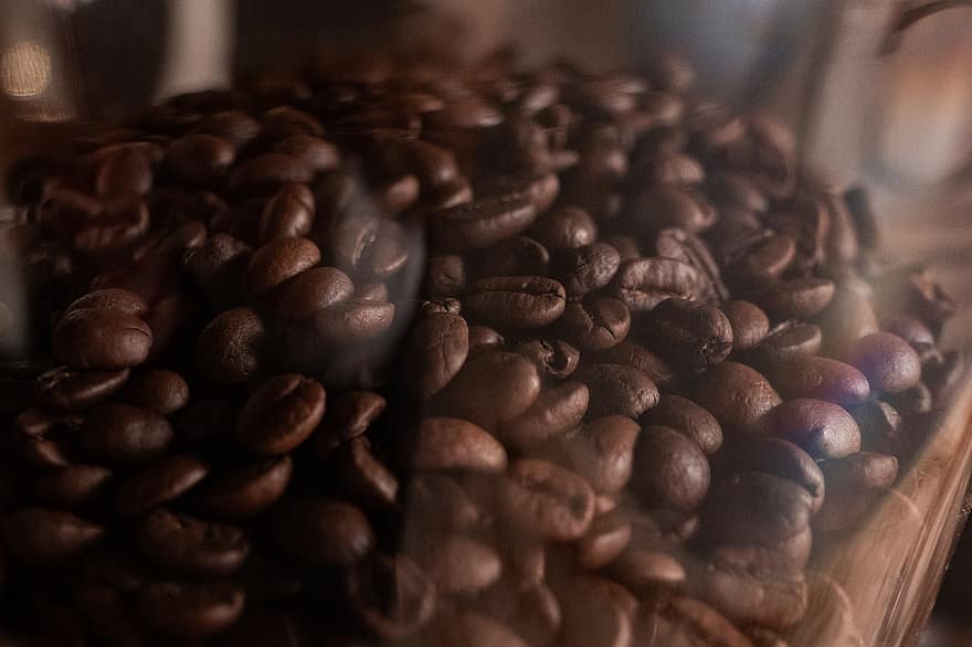 кофе, фасоль, семя, кофеин, кафе, аромат, жареный, кофейные зерна, питание, напиток, коричневый