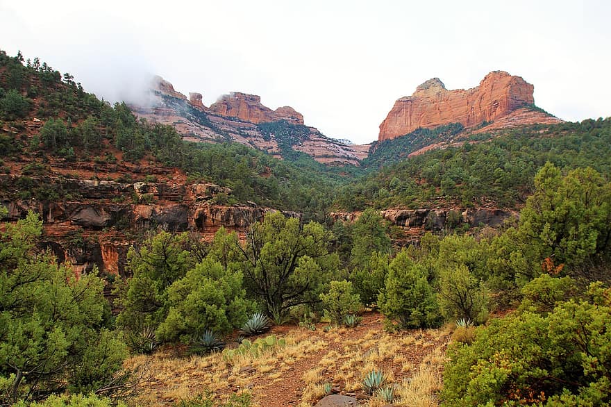 Canyon, Trees, Desert, Rocks, Cliff, Arizona, Outdoors, Scenic, Travel, Sky, Usa