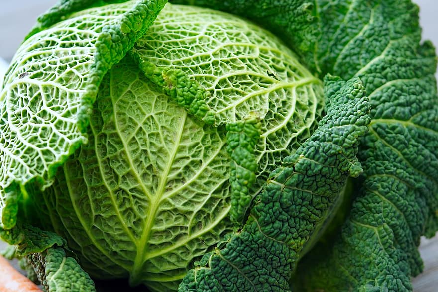 Savoy Cabbage, Cabbage, Vegetable, Fresh Vegetable, leaf, freshness, food, healthy eating, plant, organic, green color