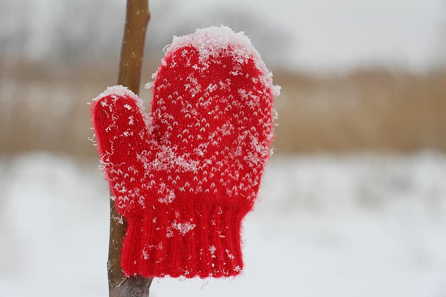 vinter, handsker, sæson, frost, sne, tæt på, tøj, handske, vejr, vante, varme