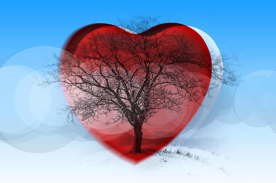 jantung, pohon, kahl, musim dingin, dingin, embun beku, salju, cinta