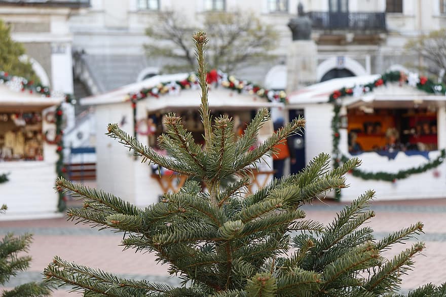 vánoční strom, vánoční trh, borovice, Vánoce, zimní, prosinec, Dovolená, strom, kultur, dekorace, oslava