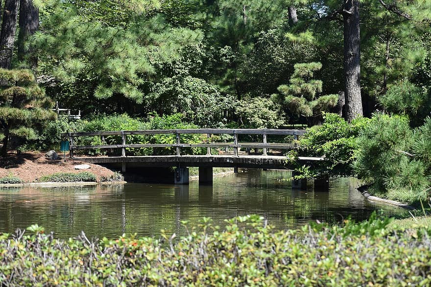 jardin japonais, Hermann Park, Houston, Texas, Lac, rivière, forêt tropicale, région sauvage, Contexte