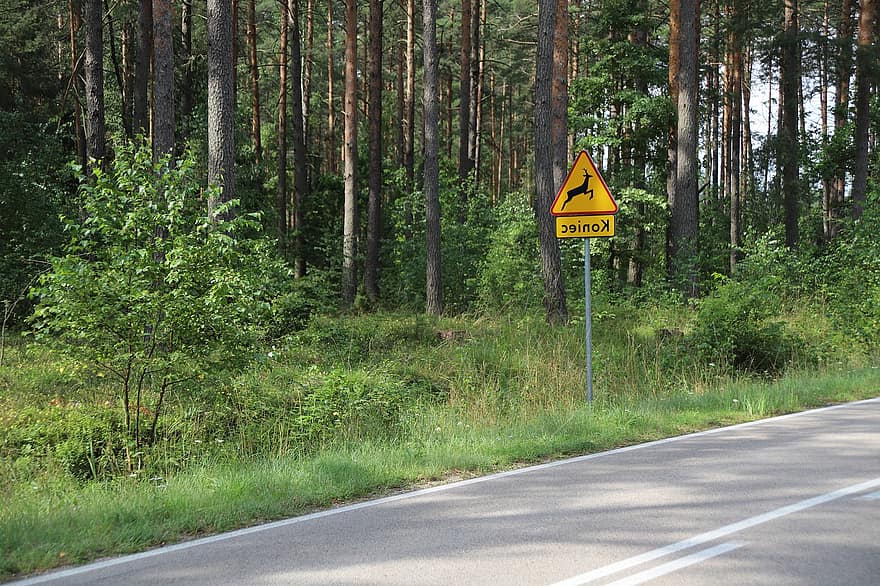 Дорога, путешествовать, дорожный знак, предупреждение, путь, лес