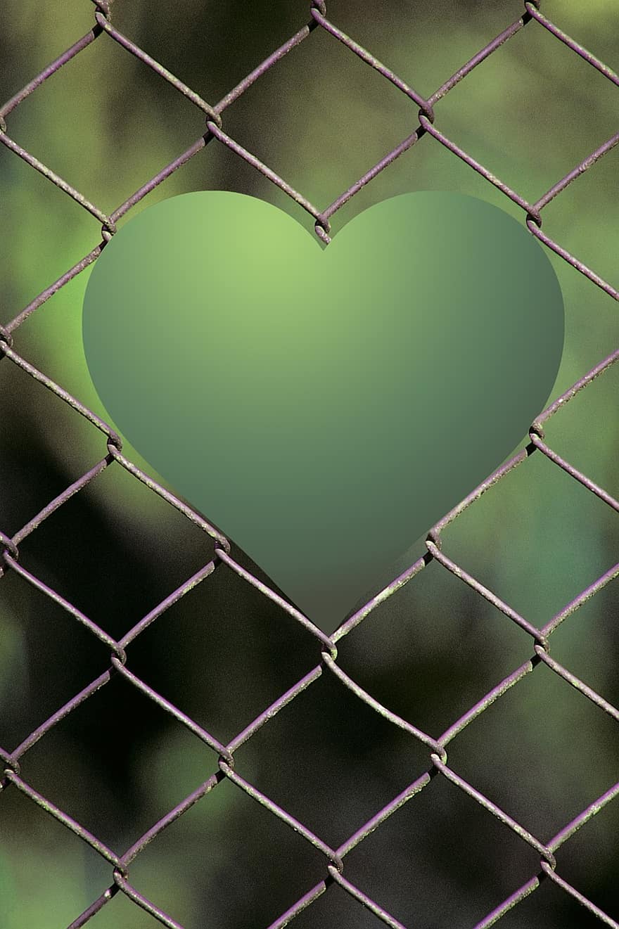 cœur, clôture, jardin, vert, espérer, amour, la chance, fidélité, Valentin, La Saint Valentin, romantique