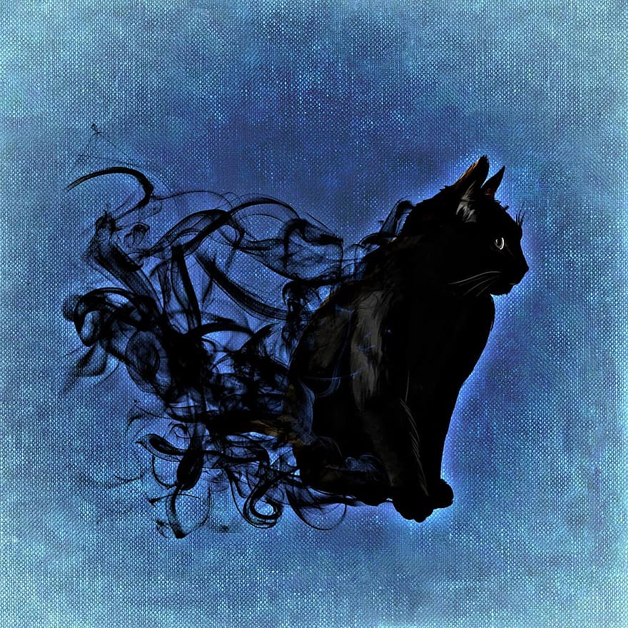 macska, misztikus, absztrakt, fekete