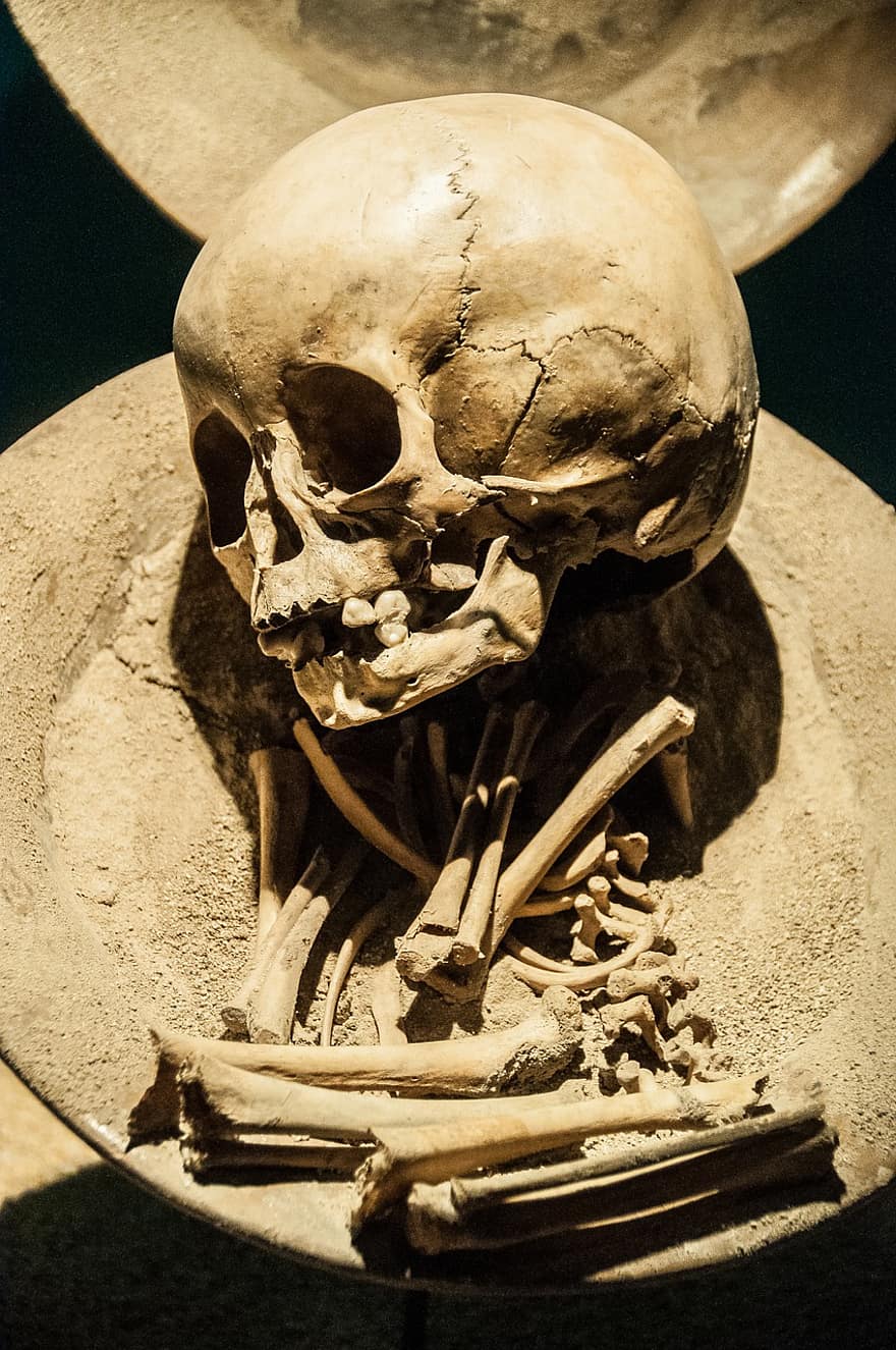 kostra, muzeum lebky, kosti, Mexiko, muzeum, smrt, hrobka, pohřbít, mrtvý, lebka, kost