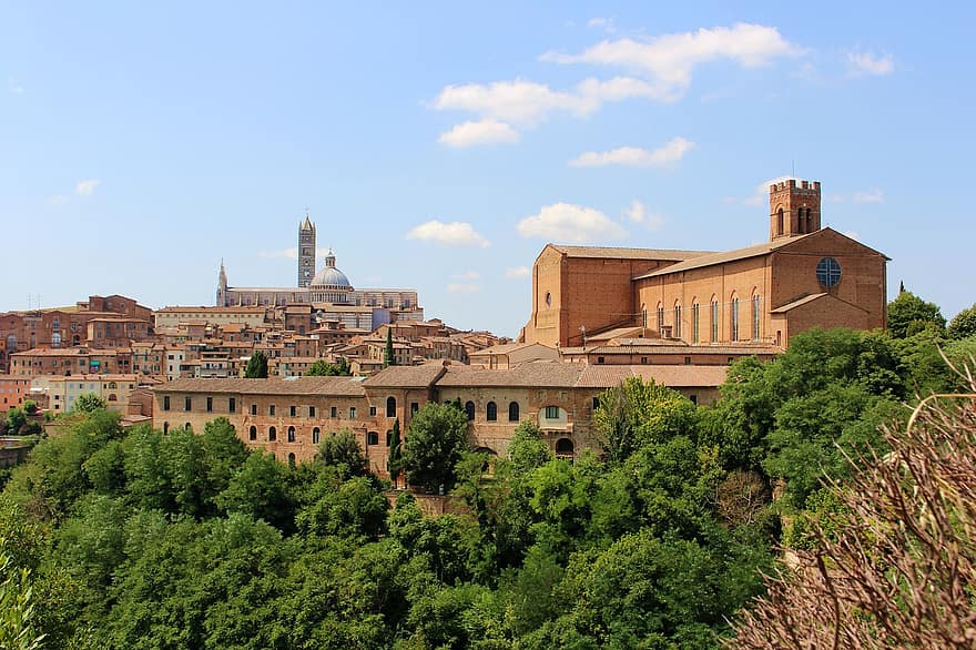 Sienne, ville, immeubles, vieille ville, vieux batiments, médiéval, historique, toscane
