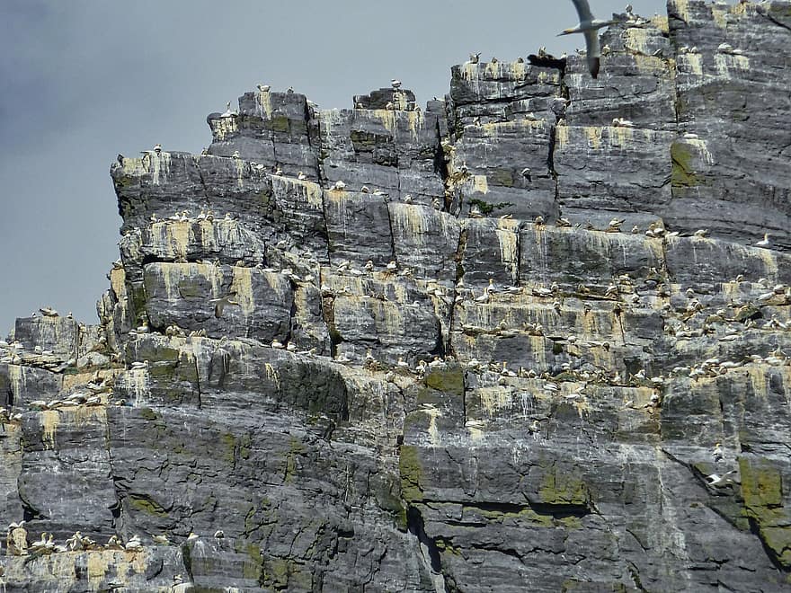 formaciones rocosas, acantilado, montaña, naturaleza