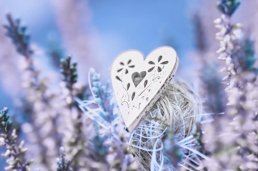 лаванда, день святого Валентина, романтика, Вітальна листівка, кохання, форма серця, прикраса, зима, дерево, святкування, сезон