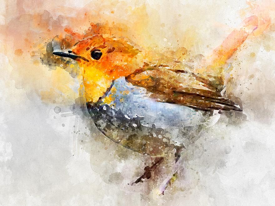 fugl, kunst, robin, ornitologi, vand, illustration, akvarel maleri, multi farvet, kreativitet, baggrunde, malet