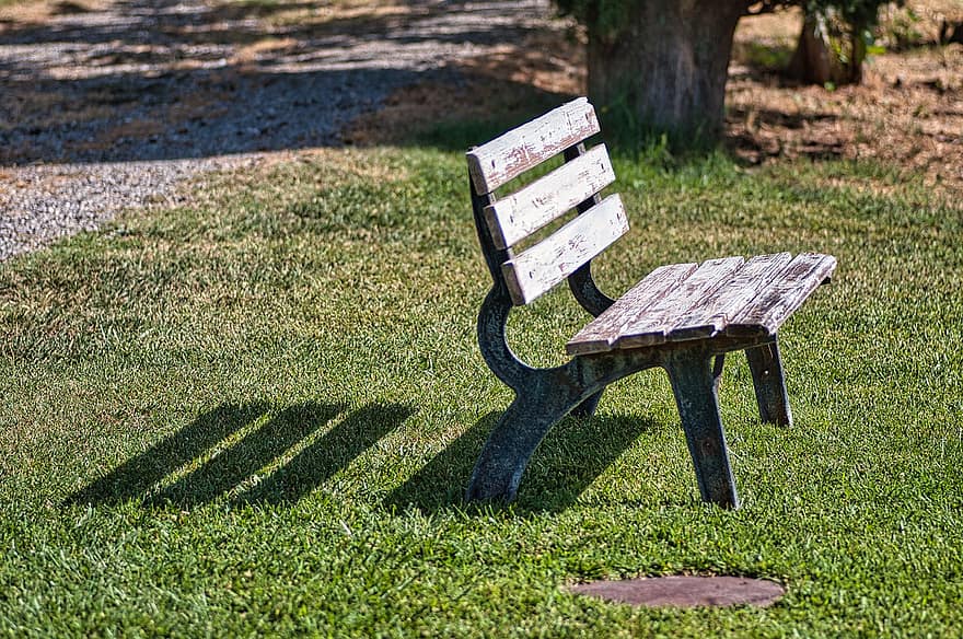 bank in het park, park, zonnig, gras, groene kleur, hout, zomer, bank, stoel, weide, zittend