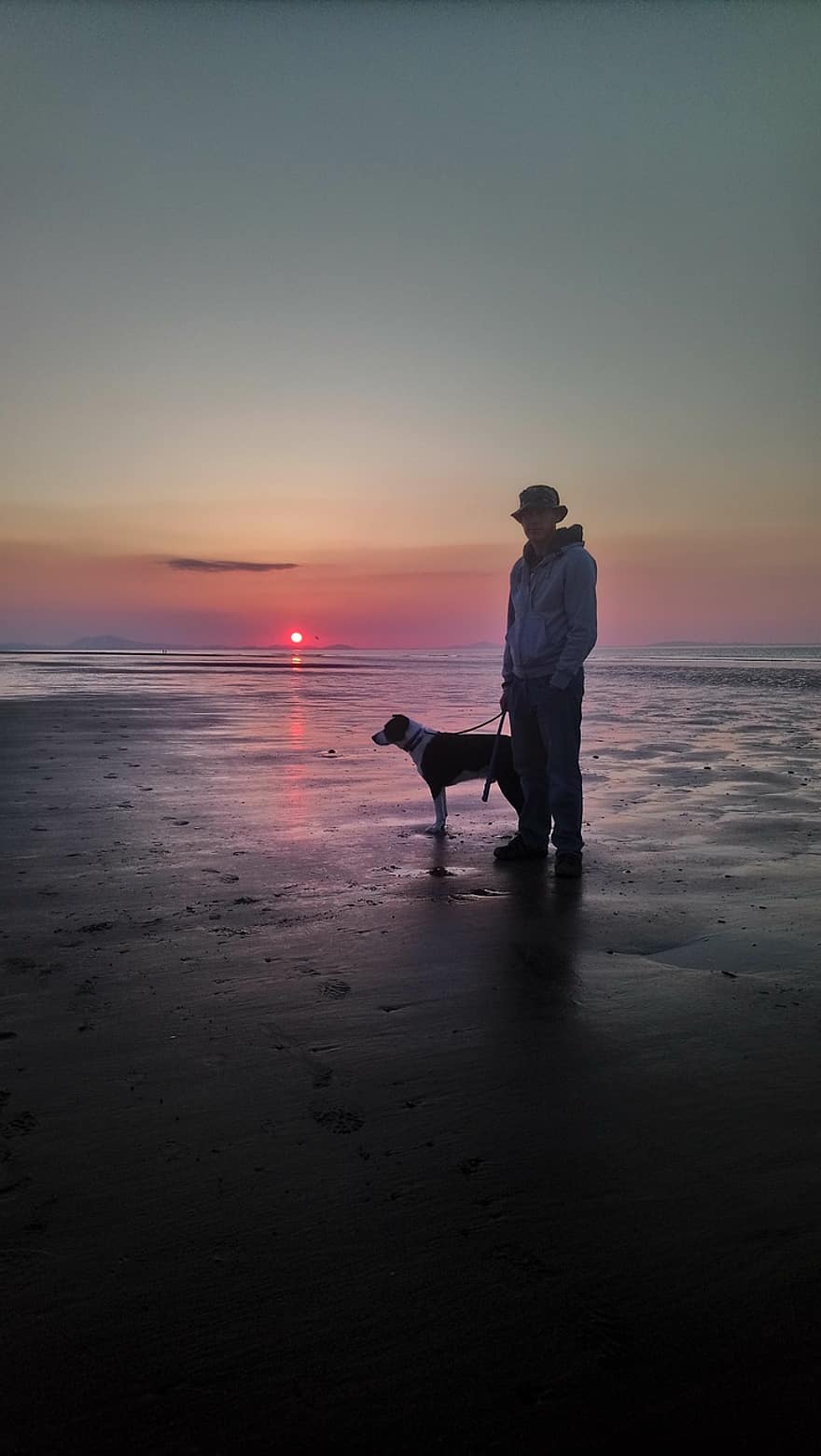 hund, Strand, solnedgang, kjæledyr, himmel, hav, natur, gå tur med hund, sand, kyst, menn