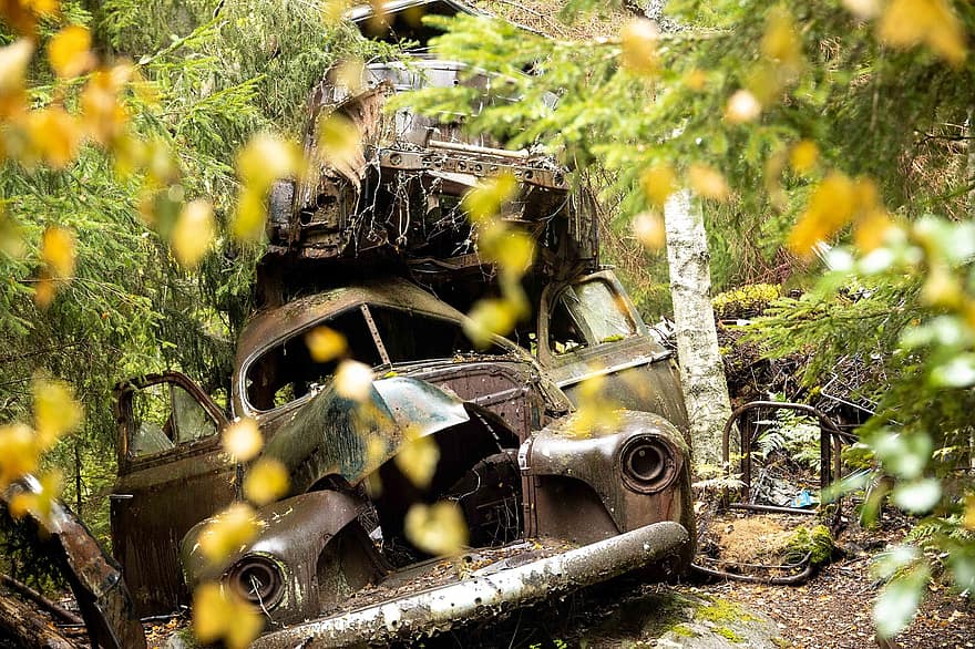 coche, vehículo, oxidado, abandonado, hojas, bosque, ruina