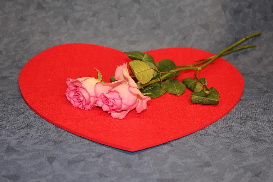 квіти, серце, день святого Валентина, троянди, цвітіння, подарунок, романтика, кохання, пелюстка, квітка, лист