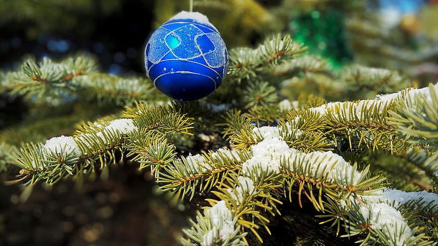 ornamenten, kerstboom, kerstballen, sneeuw, vakantie, net, decoratie, boom, viering, tak, winter