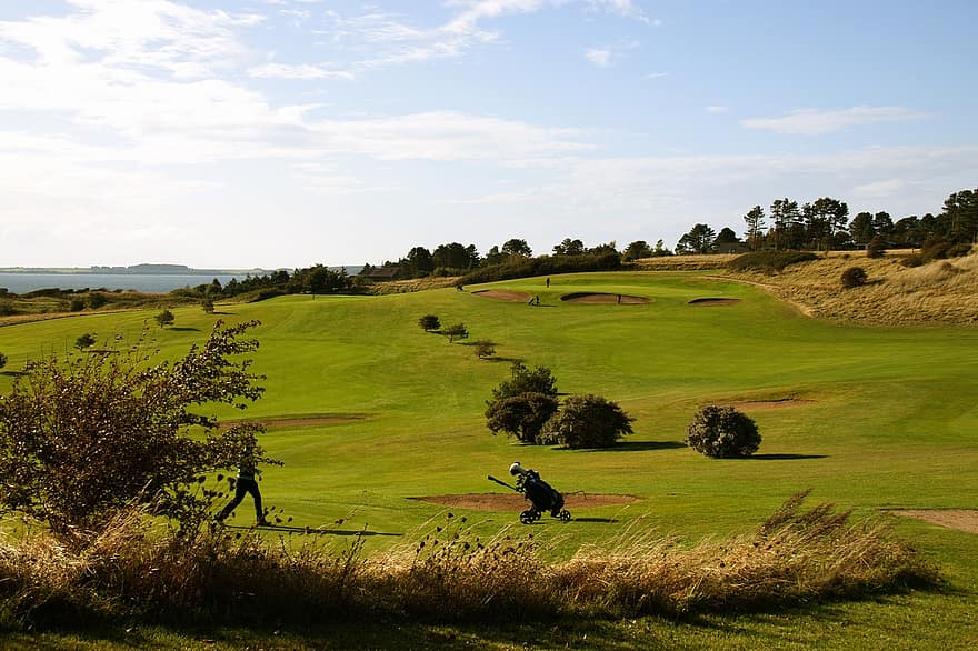golfo laukas, kelionė, žolė, golfo krepšelis, krūmai, pobūdį, lauke, dangus, kraštovaizdį, golfas, žalia spalva