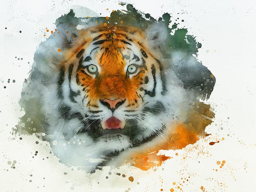 тигр, кошка, кошачий, дикий кот, большой кот, живая природа, портрет, опасно, животное, хищник, природа