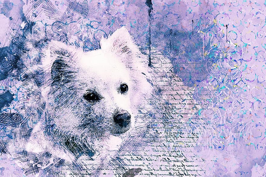 Dog, Art, Abstract, Watercolor, Vintage, Nature, Puppy, Cute, Emotion, Collage, Artistic