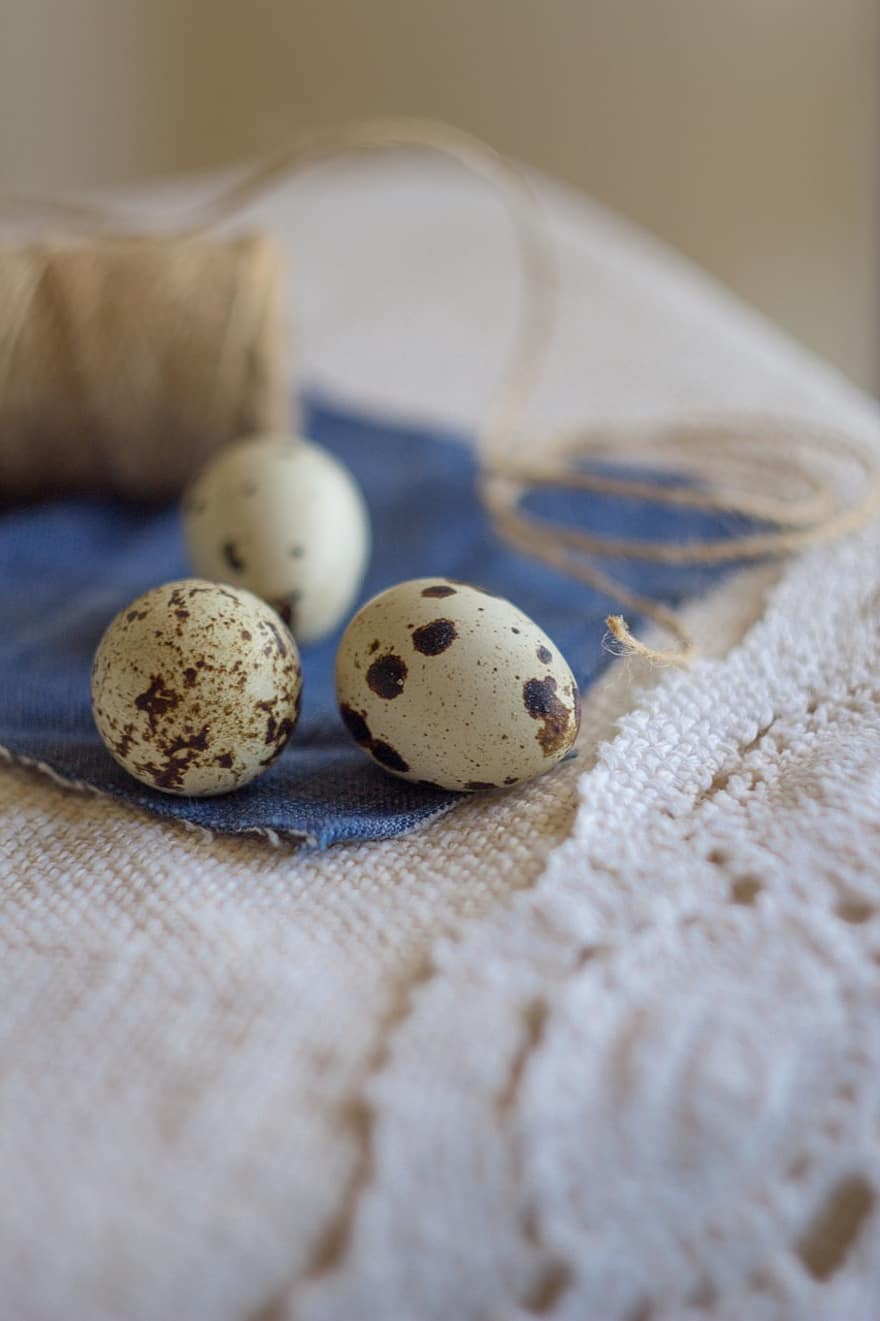 Quail Eggs, Egg, Healthy, Protein, close-up, backgrounds, food, decoration, organic, animal egg, wood
