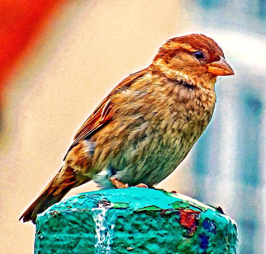 Sparrow, House Sparrow, Bird, Ornithology, Fauna, Animal, Oil Painting, Artwork, beak, feather, animals in the wild