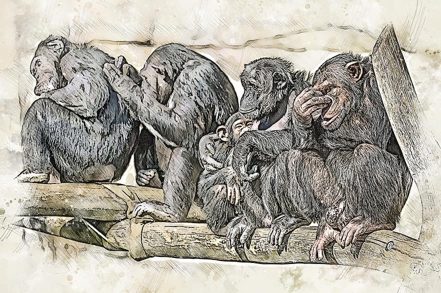 Animal, Ape, Chimpanzee, Group, Mammal, Monkey, Primate, Creativity, animals in the wild, africa, illustration
