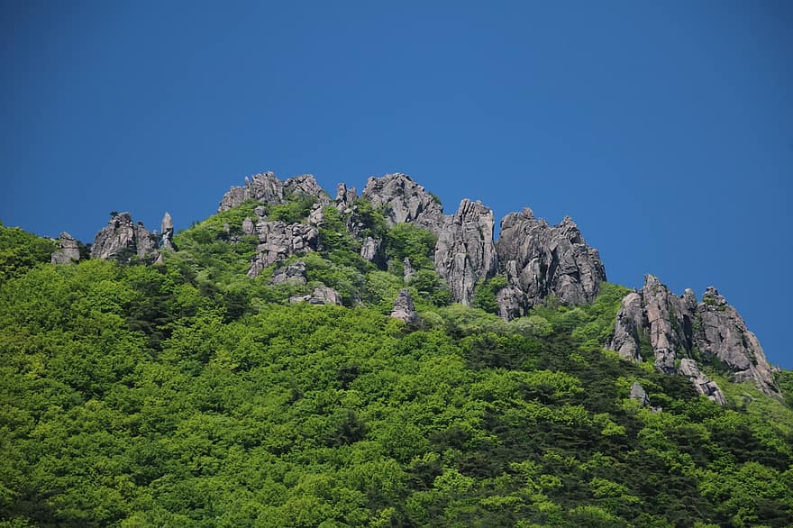 montaña rocosa, arboles, bosque, montaña, verano, color verde, paisaje, pico de la montaña, rock, azul, acantilado