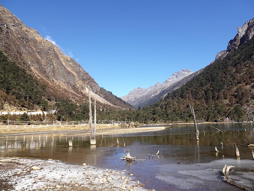 lago, montañas, naturaleza, árboles muertos, bosque, Sangestar Tso, Lago Madhuri, paisaje, Himalaya, tawang, Arunchal Pradesh