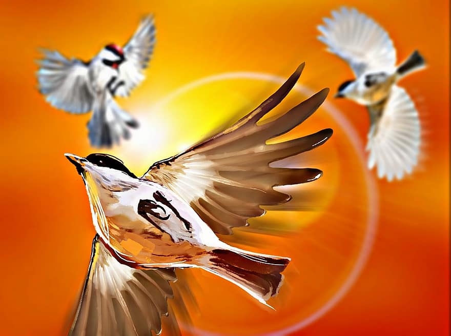 Birds, Flying, Sun, Sky, Plumage, dom, Wing, Feather, Animals