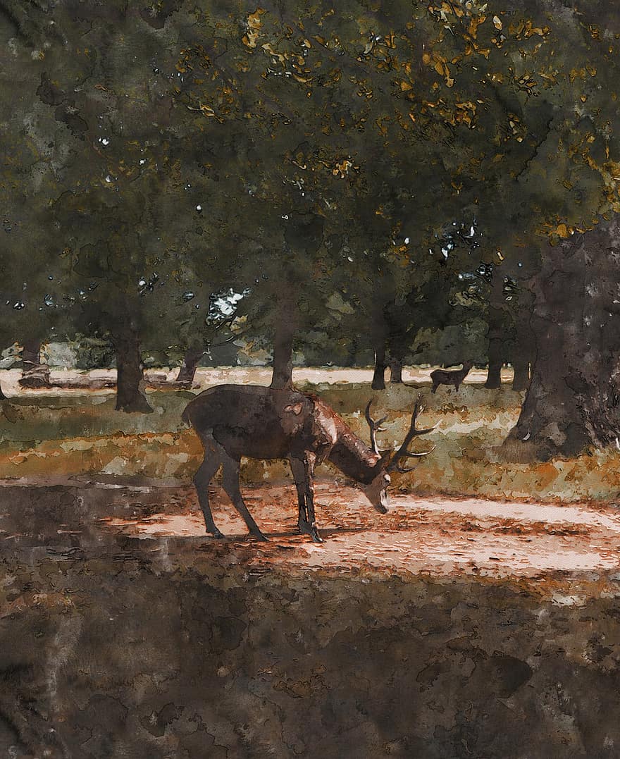 Watercolour, Painting, Texture, Deer, Forest, Animal, Art, Effect, Colourful, Print, Artistic