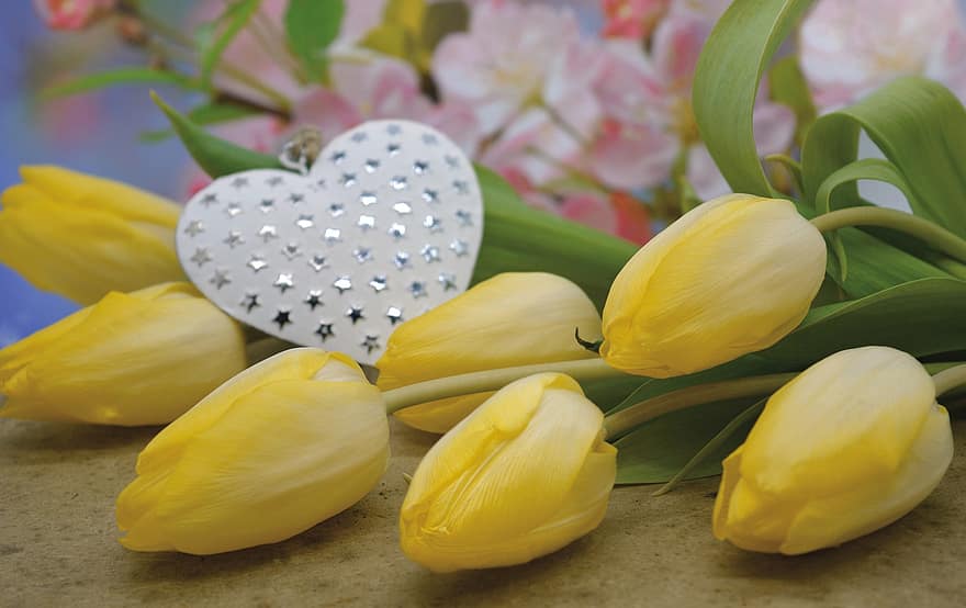 tulip, bunga-bunga, bunga, jantung, valentine, hari Valentine, hubungan, cinta, kuning, kepala bunga, daun bunga
