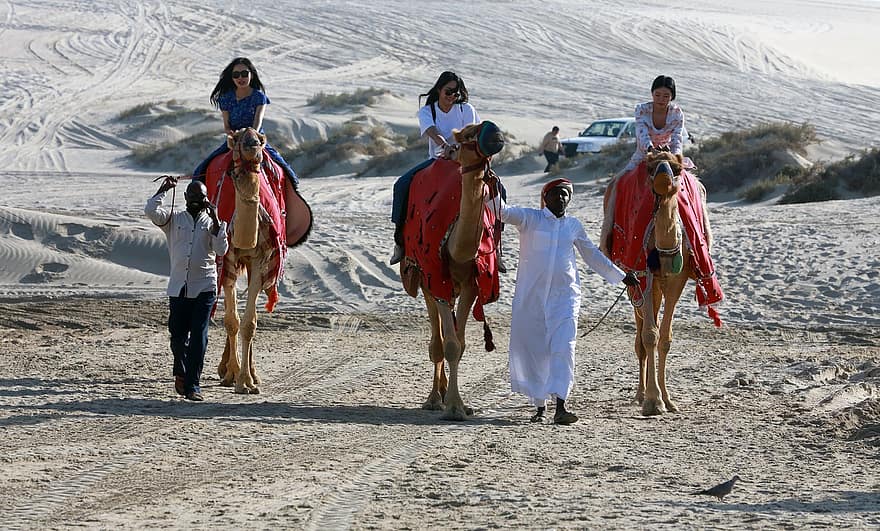 camelos, deserto, safári, Sealine Qatar, panorama, turismo, Catar, Equitação no Deserto, homens, caminhando, grupo de pessoas