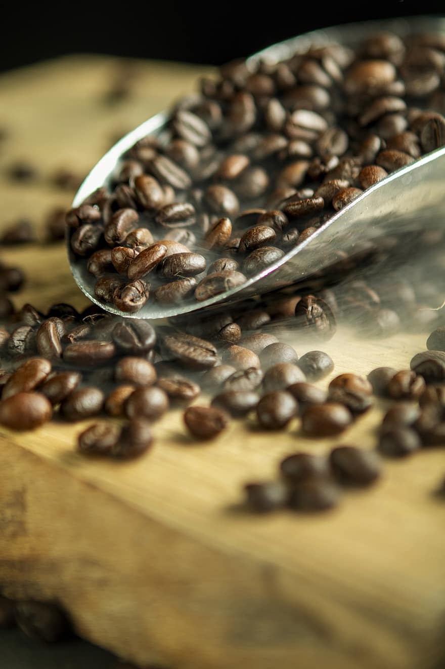 kopi, kacang polong, biji, kafein, kafe, aroma, panggang, makanan, minuman, coklat, aromatik