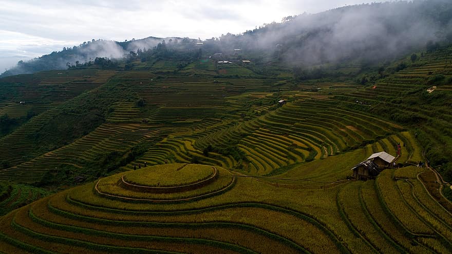 Agriculture, Nature, Terraces, Field, Plantation, Countryside, Environment