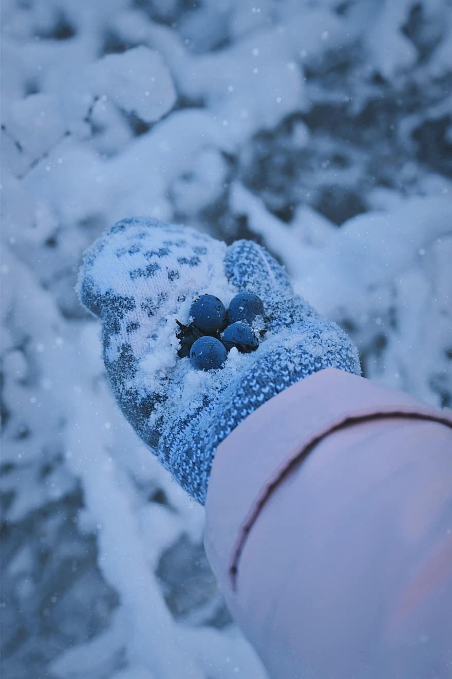 frutti di bosco, mano, ghiaccio, brina, la neve