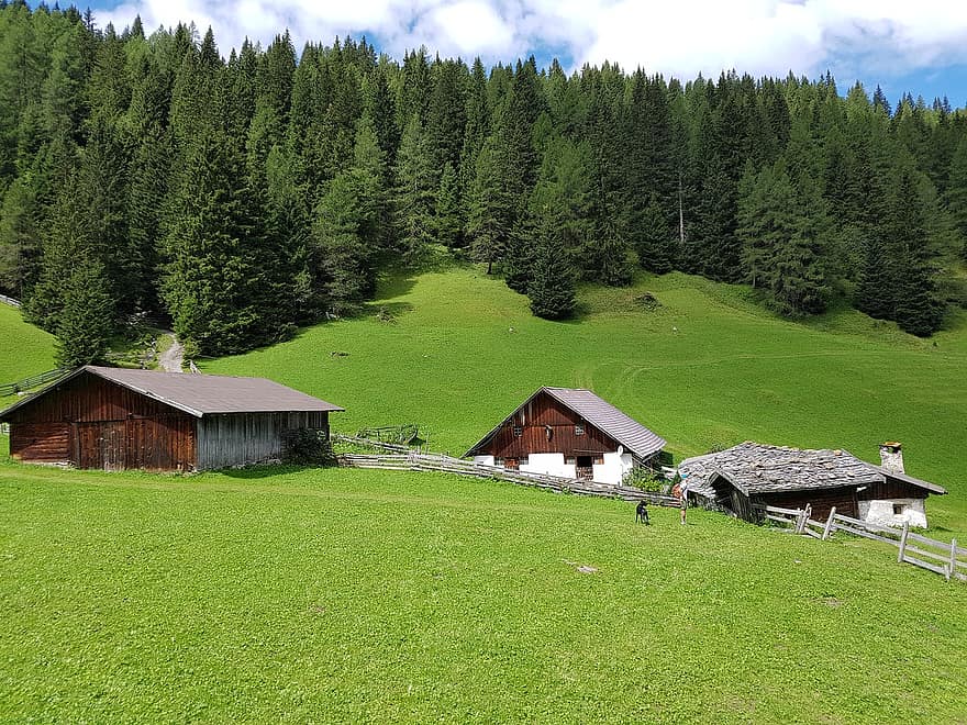 ภูเขา, ชนบท, ป่า, ต้นไม้, Tyrol, กลางแจ้ง