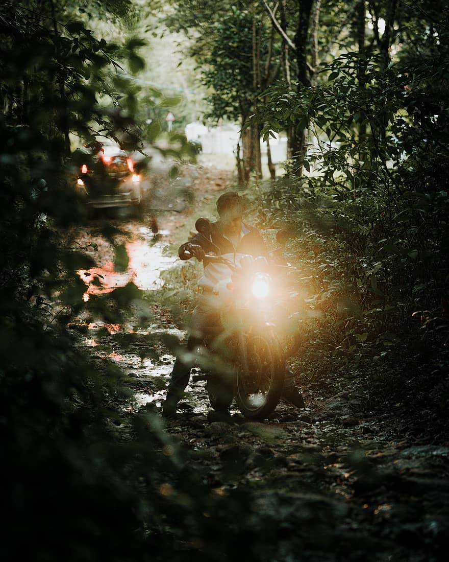 motocicleta, bosque, vehiculo todoterreno, rural