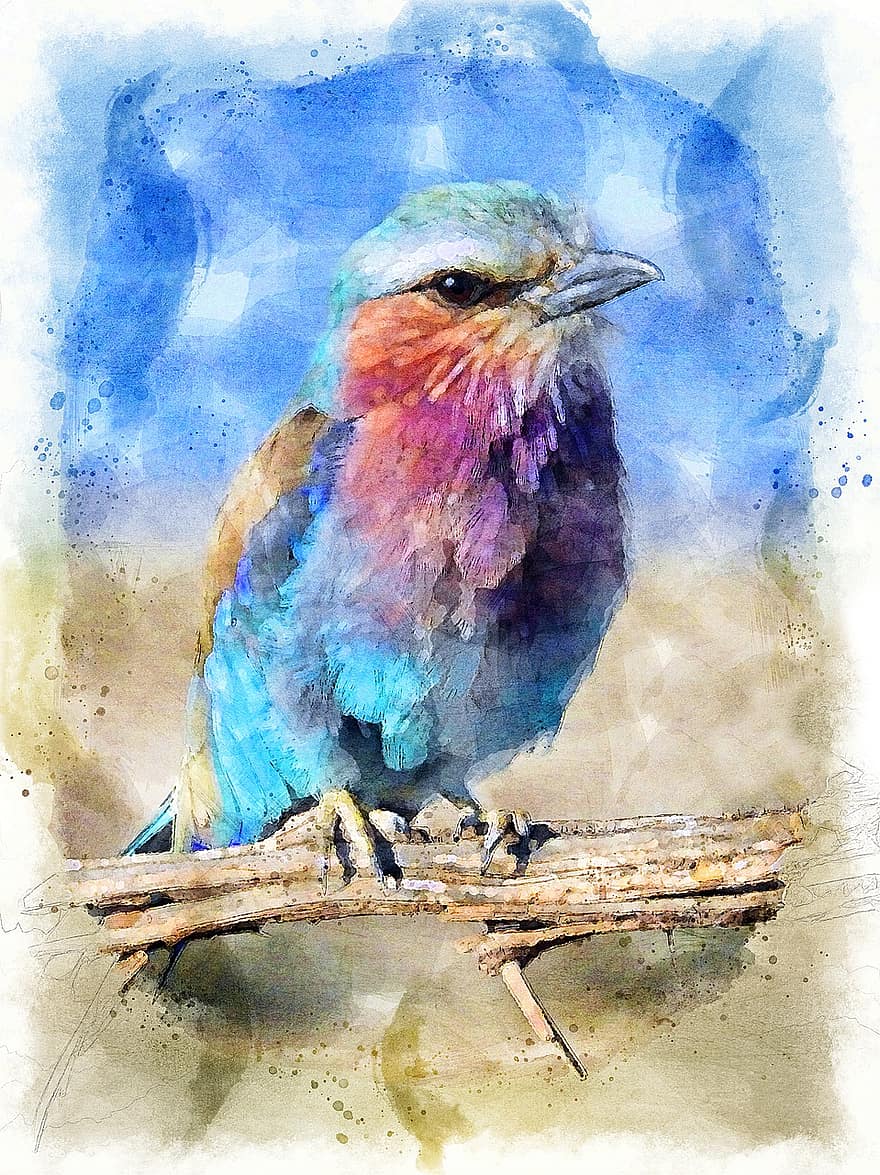 paukštis, spalvinga, pavasaris, gyvūnas, laukinės gamtos, plunksna, mėlyna, akvarelė, tapyba, menas, spalva