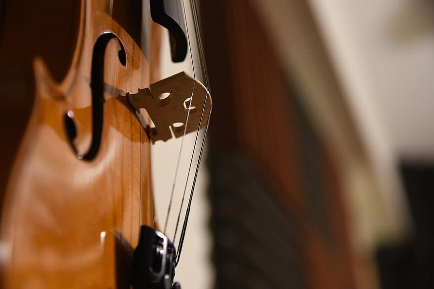 viulu, viola, sello, musiikki, musiikki-instrumentti, jousisoitin, kumarsi merkkijono, orkesteri, väline, klassikko, musikaali