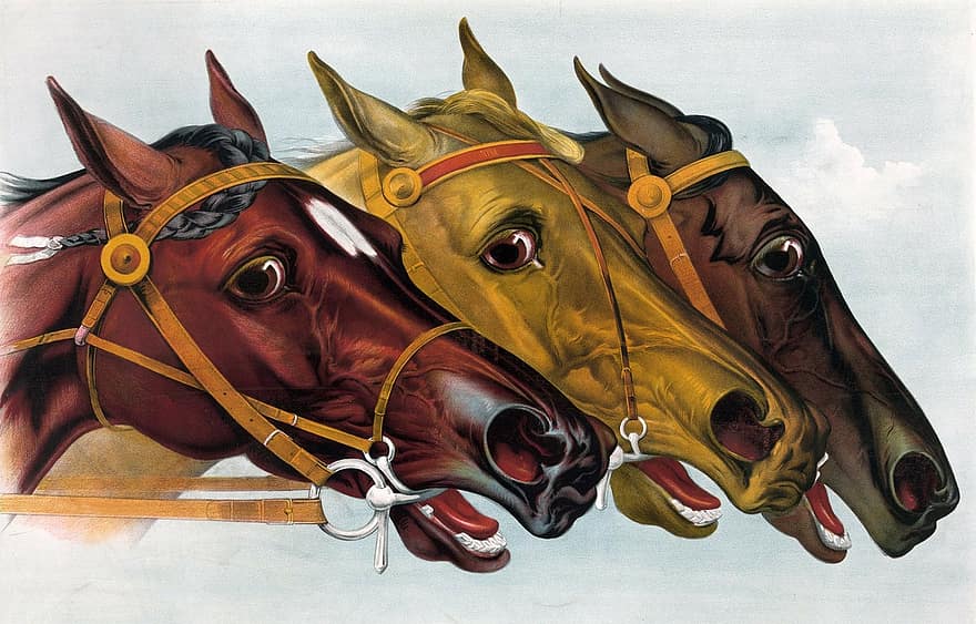 うま、馬、競走馬、ネックネック、肖像画、頭、面、綺麗な、カラフル、明るい、ビンテージ