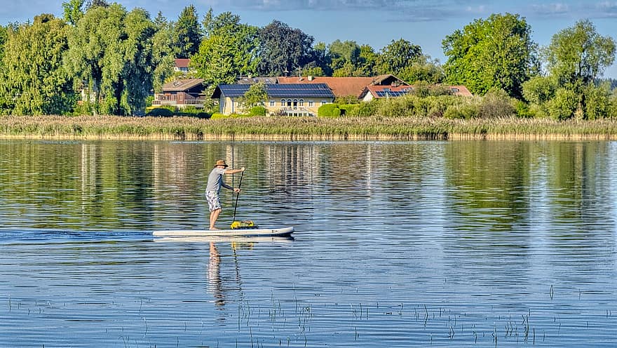 Stand Paddle, Stand-up Paddling, Water Sports, Sport, Paddle, Surfboard, Person, Man, Lake