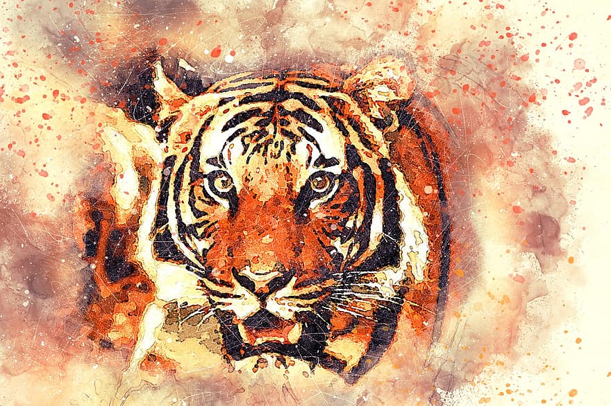 harimau, potret, seni, abstrak, cat air, vintage, kucing, alam, emosi, kaos, artistik